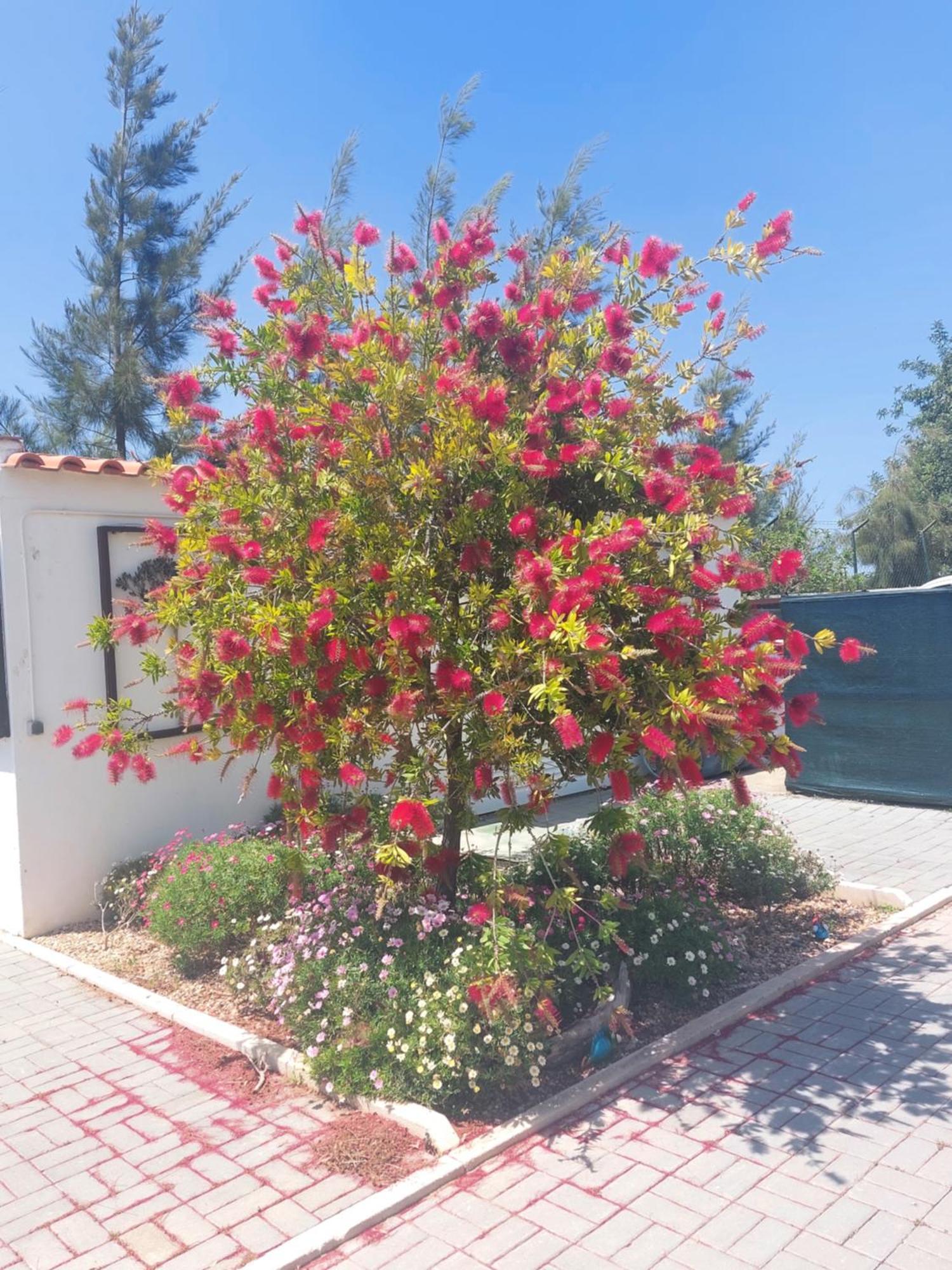 Tavira Vacations Apartments Exterior foto